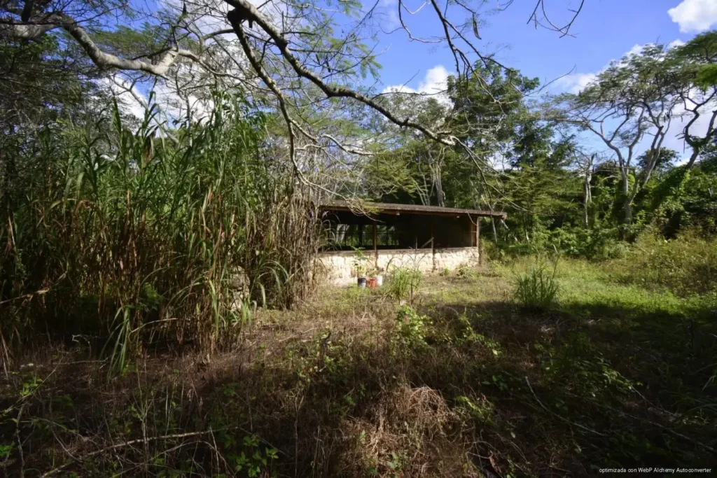 Por falta de recursos en Lázaro Cárdenas, tres niños quedan fuera de la escuela Por falta de recursos en Lázaro Cárdenas, tres niños quedan fuera de la escuela