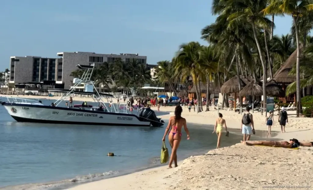 Playa del Carmen busca recuperar 750 metros de playa con arena retirada del sargazo Playa del Carmen busca recuperar 750 metros de playa con arena retirada del sargazo