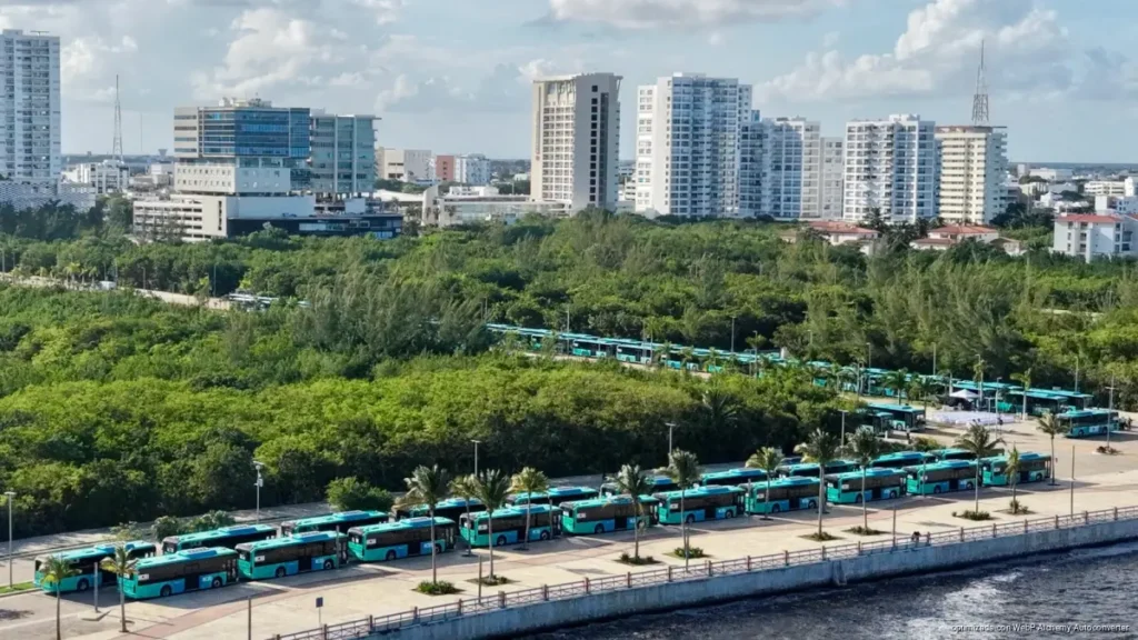 Cancún ampliará la renovación de autobuses hacia Rancho Viejo, Punta Sam y Costa Mujeres Cancún ampliará la renovación de autobuses hacia Rancho Viejo, Punta Sam y Costa Mujeres