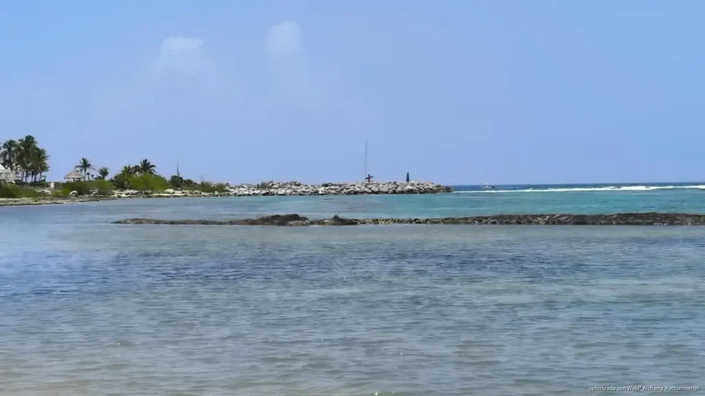Puerto Aventuras recibirá embarcación de Marina para recolectar sargazo