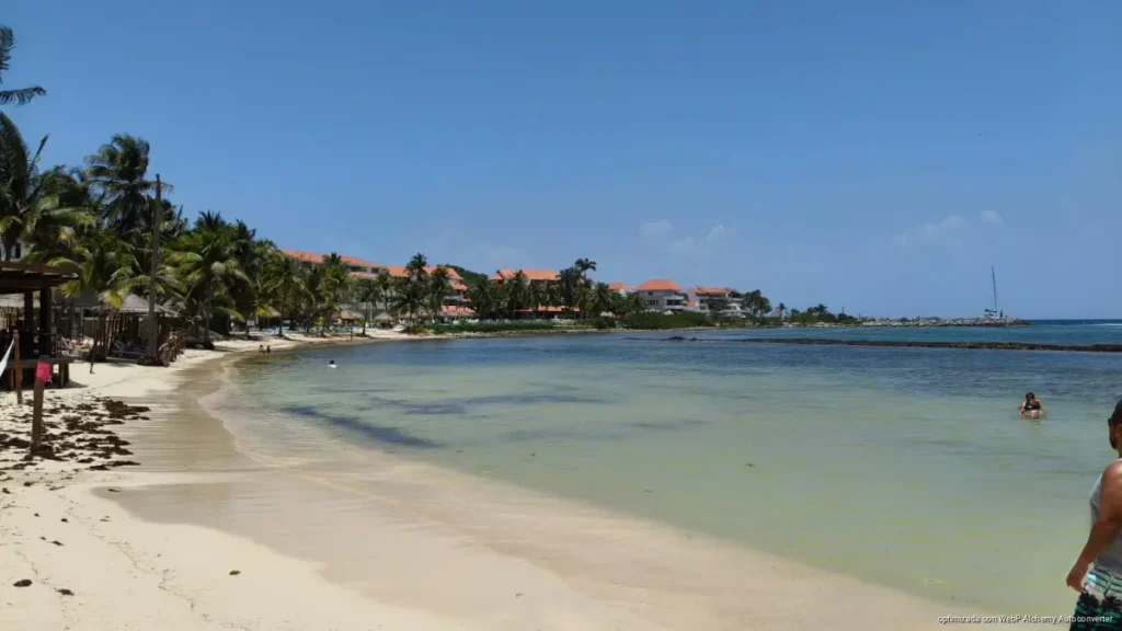 Puerto Aventuras recibirá embarcación de Marina para recolectar sargazo