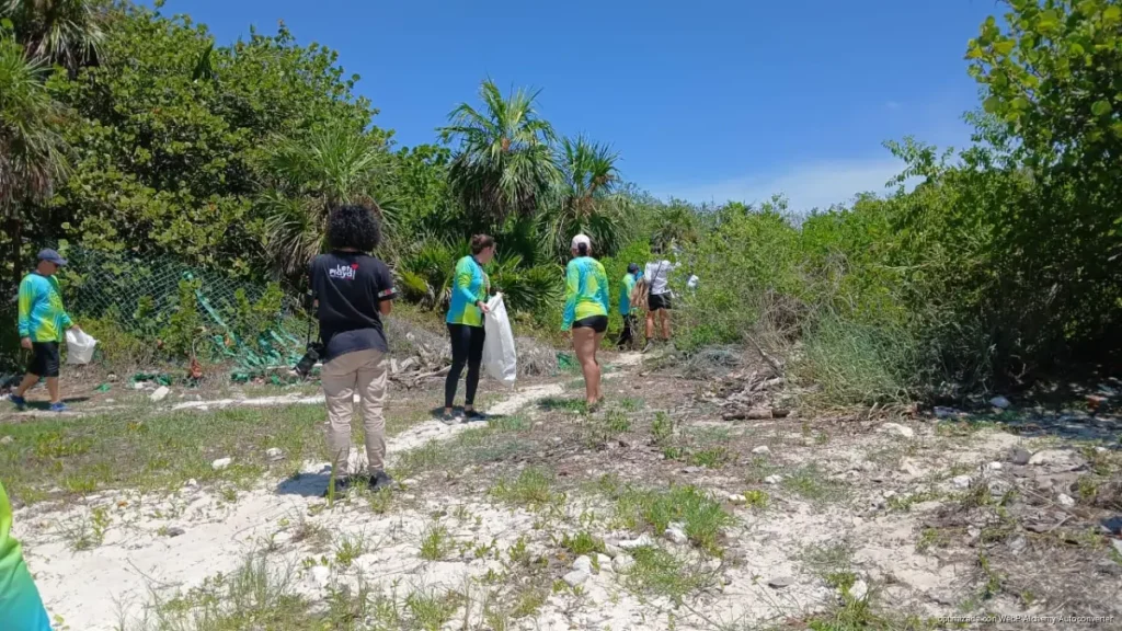 Convocan a voluntarios para limpiar más de 7 kilómetros de playa en Playa del Carmen Convocan a voluntarios para limpiar más de 7 kilómetros de playa en Playa del Carmen