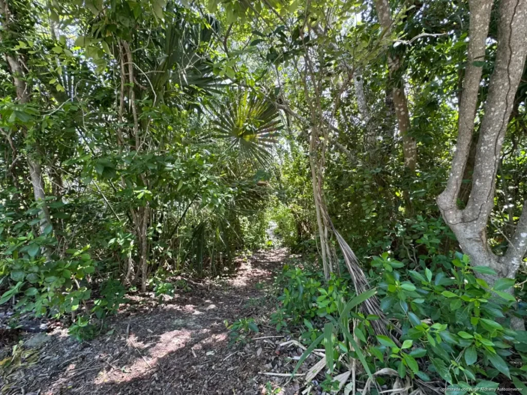 Vinculan a proceso a expolicía por caso de Alejandra Michelle en Chetumal tras cinco años