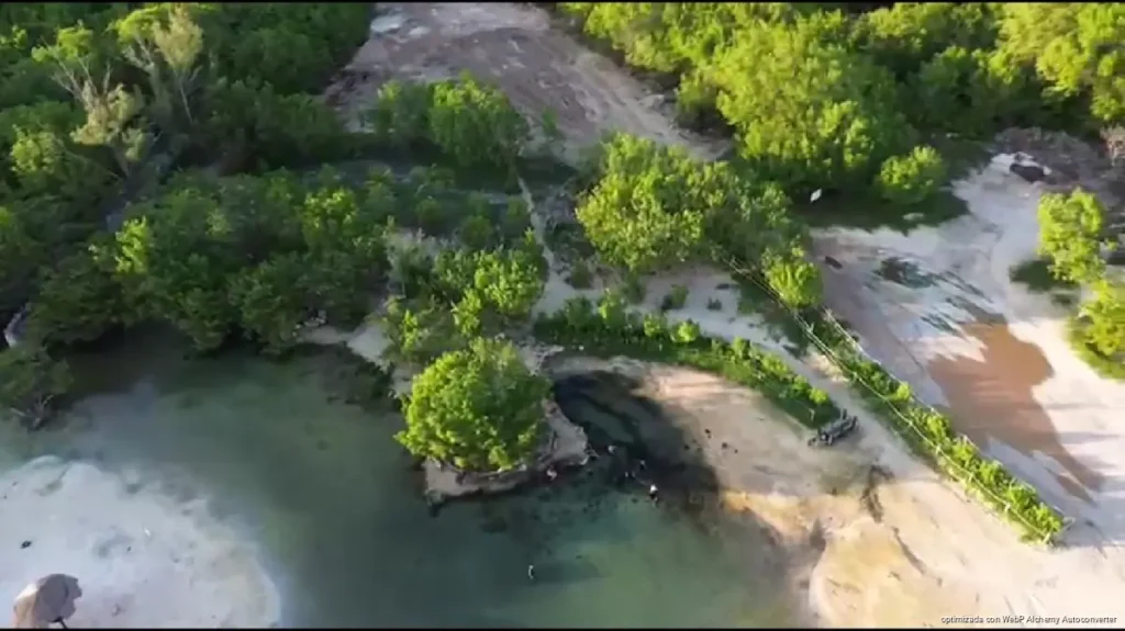 Cenote de Punta Esmeralda mantiene niveles de calidad, asegura Medio Ambiente Cenote de Punta Esmeralda mantiene niveles de calidad, asegura Medio Ambiente