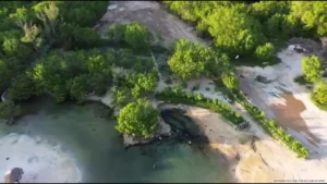 Cenote de Punta Esmeralda mantiene niveles de calidad, asegura Medio Ambiente Cenote de Punta Esmeralda mantiene niveles de calidad, asegura Medio Ambiente