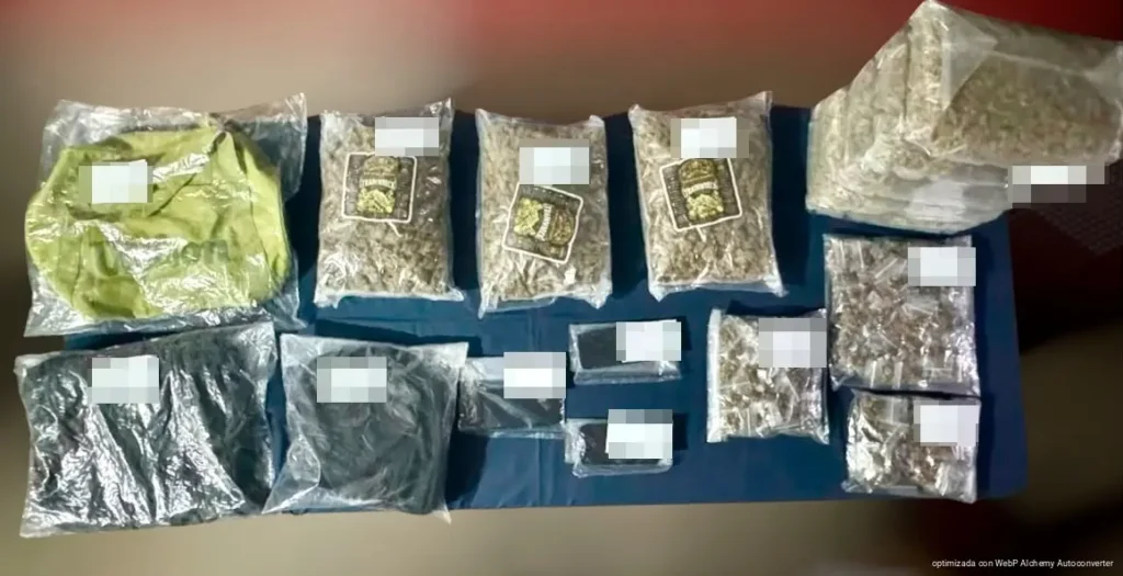 Aseguran 253 bolsitas y ocho paquetes de presunta marihuana tras detención de tres hombres en Cancún
