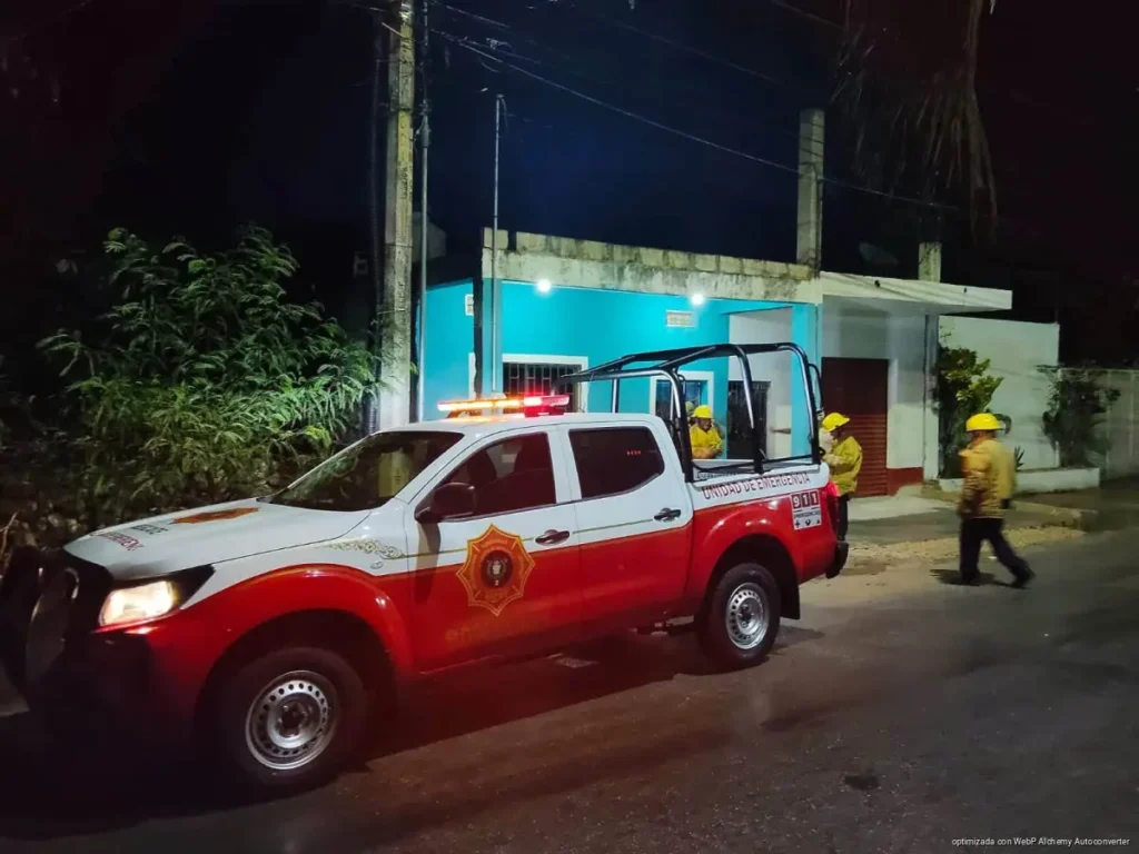 Rescatan tucán tras chocar contra una ventana en Felipe Carrillo Puerto