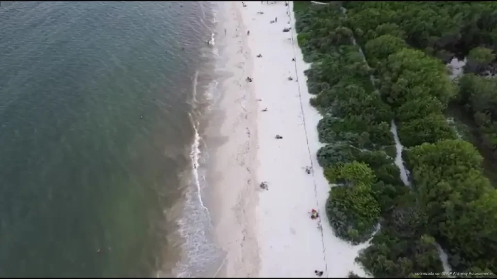 Playa del Carmen condicionaría permisos del cable submarino a reparaciones de CFE Playa del Carmen condicionaría permisos del cable submarino a reparaciones de CFE