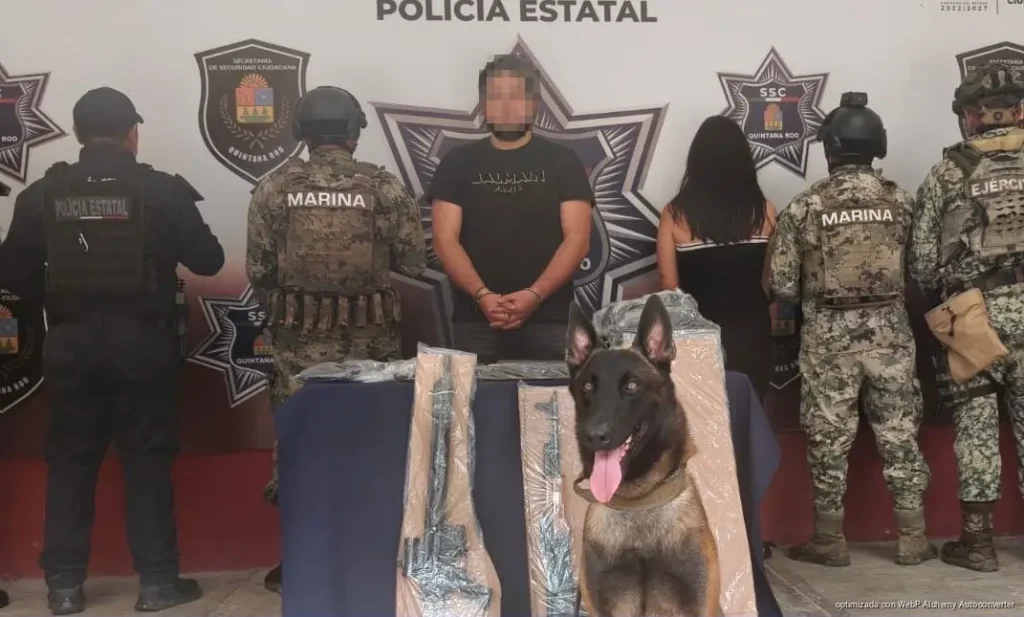 Operativo en Mahahual da como resultado el aseguramiento de cuatro armas y 264 cartuchos