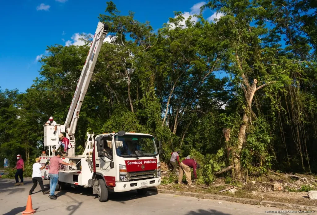 Parque vehicular de Cozumel crece 51% en dos años de gobierno Parque vehicular de Cozumel crece 51% en dos años de gobierno