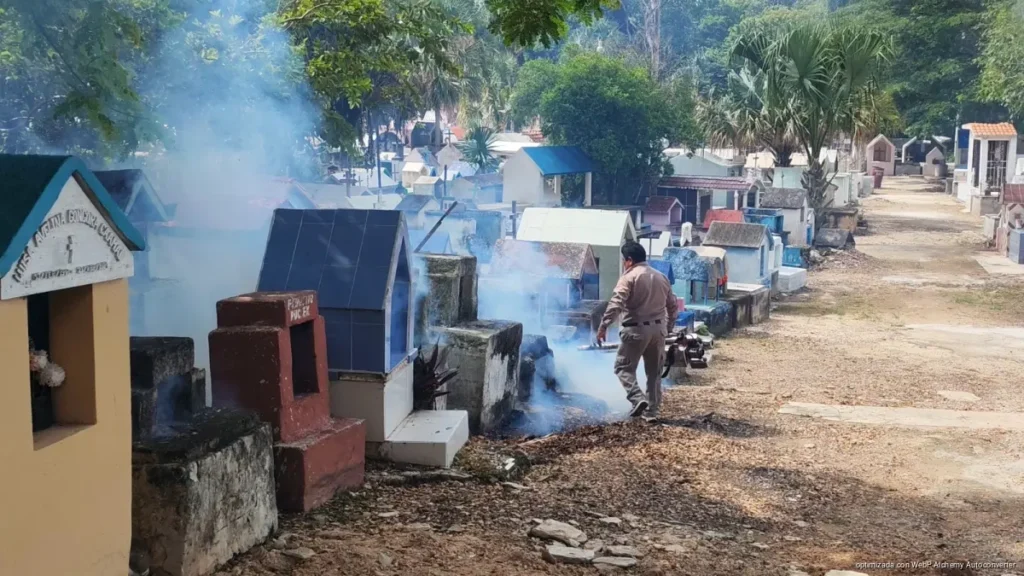 Fumigación en panteón de José María Morelos busca prevenir dengue y chikunguña Fumigación en panteón de José María Morelos busca prevenir dengue y chikunguña