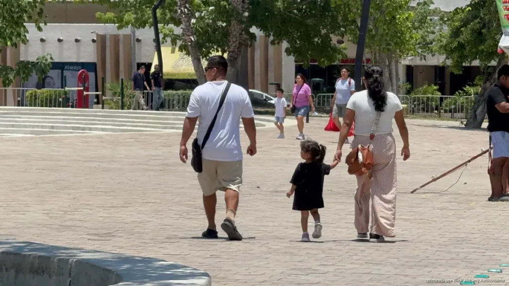 Trabajo infantil en Quintana Roo sube a 10.1% y aumenta la cifra de menores afectados Trabajo infantil en Quintana Roo sube a 10.1% y aumenta la cifra de menores afectados