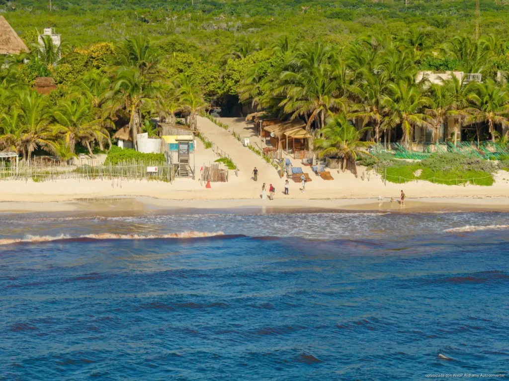 Tulum retira 7 mil 300 toneladas de sargazo y mejora el estado de sus playas