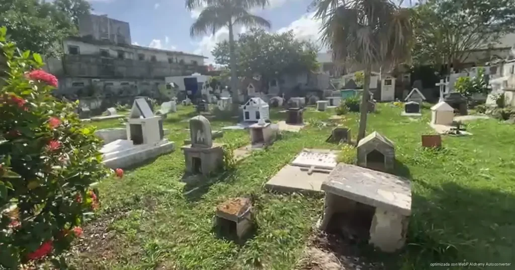 Cozumel detecta bóvedas que incumplen las normas en sus panteones