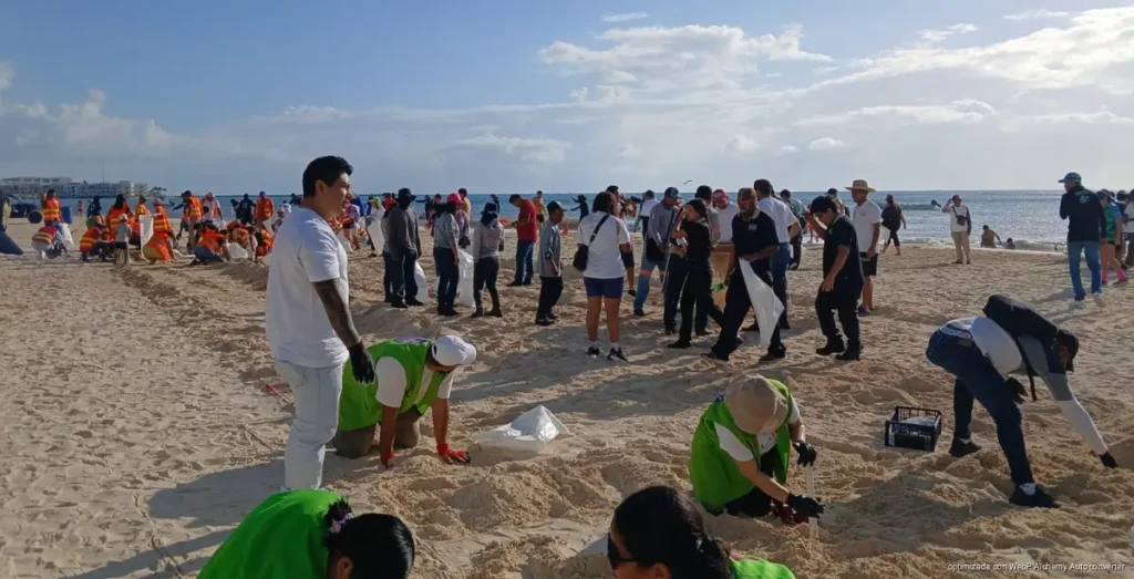 Alma Rodríguez alerta por basura que amenaza las playas de Playa del Carmen