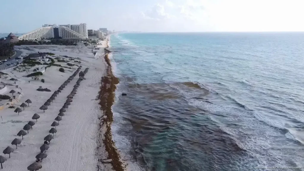 Cancún mantendrá gasto para sargazo en 2027 y deja abierta la opción de ampliarlo Cancún mantendrá gasto para sargazo en 2027 y deja abierta la opción de ampliarlo