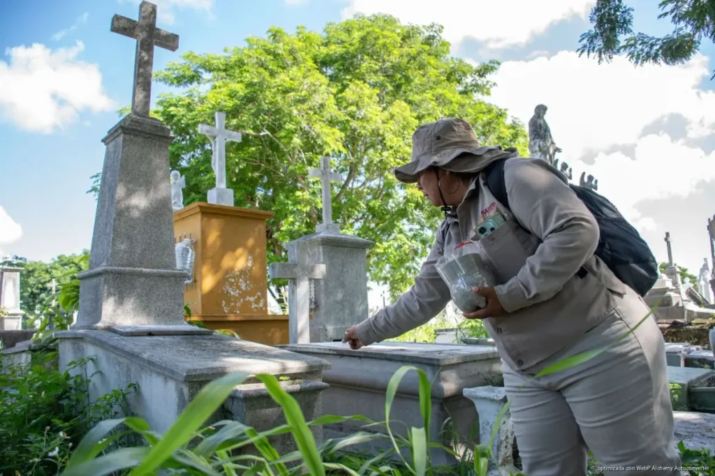Retiran criaderos de mosquitos en cuatro panteones de Cancún antes del Día de Muertos Retiran criaderos de mosquitos en cuatro panteones de Cancún antes del Día de Muertos