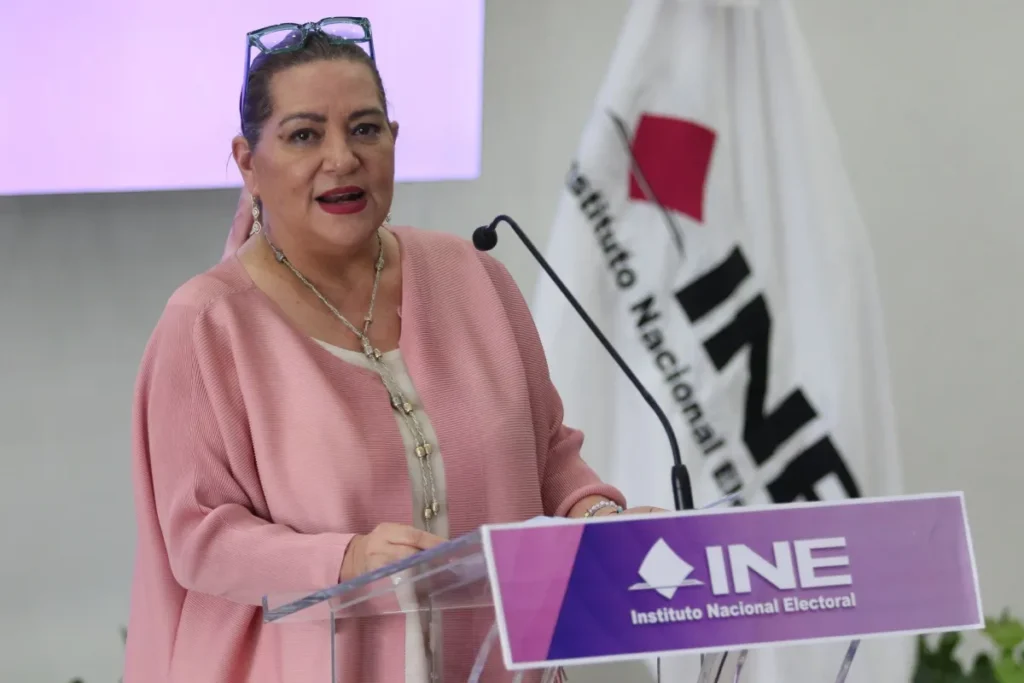 El INE acumula 37 investigaciones por contratos y posibles conflictos de interés tras renuncia de Taddei El INE acumula 37 investigaciones por contratos y posibles conflictos de interés tras renuncia de Taddei